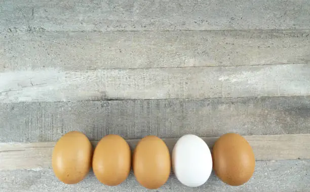 Brown chicken eggs and one white one at wooden background