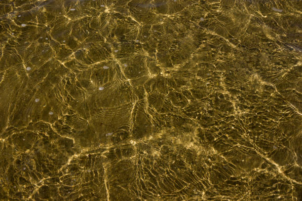 istock Texture of transparent sea waves in sunlight 1098020690