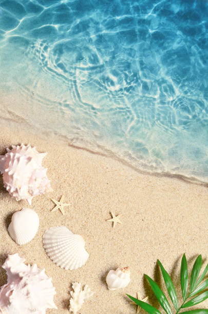 istock starfish on the summer beach with sand, 1098020868