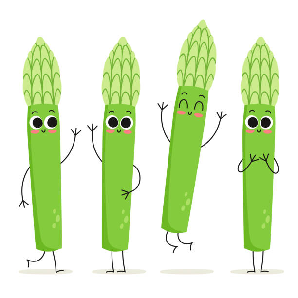 ilustraciones, imágenes clip art, dibujos animados e iconos de stock de espárragos. conjunto de caracteres cute vector vegetal aislado en blanco - asparagus