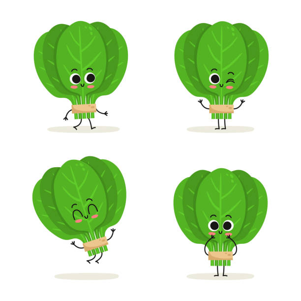 ilustrações de stock, clip art, desenhos animados e ícones de spinach. cute cartoon vegan protein food vector character set isolated on white - espinafres