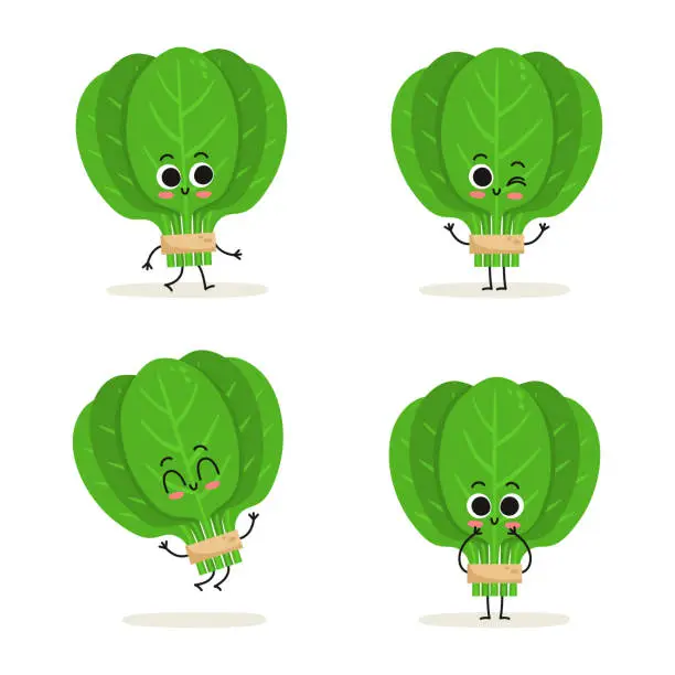 Vector illustration of Spinach. Cute cartoon vegan protein food vector character set isolated on white