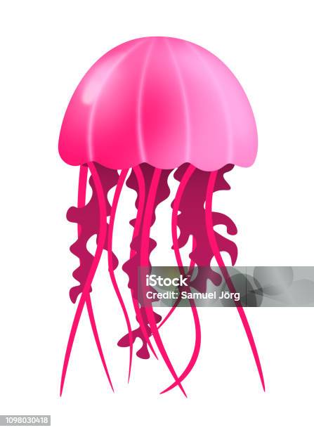 A Pink Jellyfish Stock Illustration - Download Image Now - Animal, Animal Wildlife, Aquarium