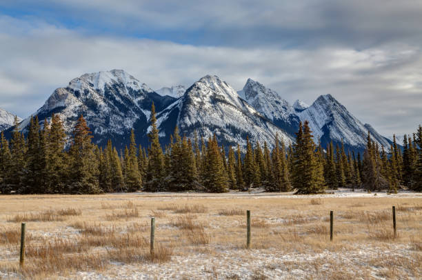 istock rocky mountains with farmland in the foreground 1098033814