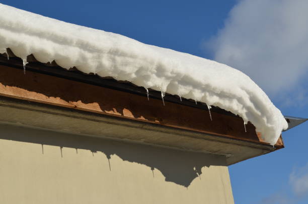 istock The edge of winter 1098034390