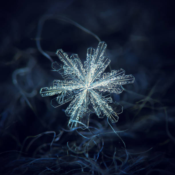 어두운 질감된 배경에서 눈송이 glowingg - macro photography 뉴스 사진 이미지