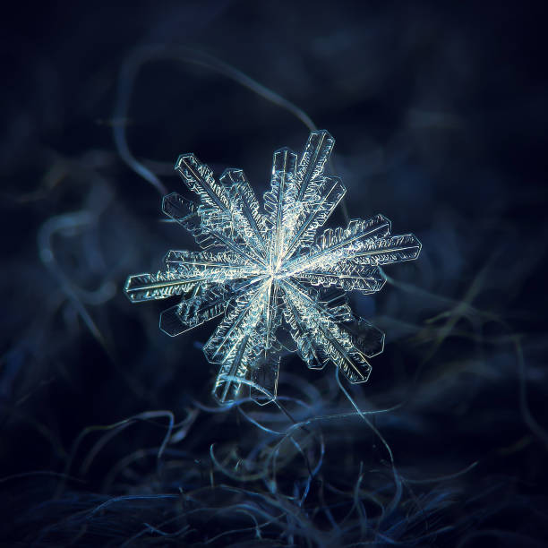 Snowflake glowingg on dark textured background Star shaped cluster of real snowflakes: elegant stellar dendrites with simple, thin and long arms, complex inner details and transparent surface, glittering on black textured background in cold light. symmetry photos stock pictures, royalty-free photos & images