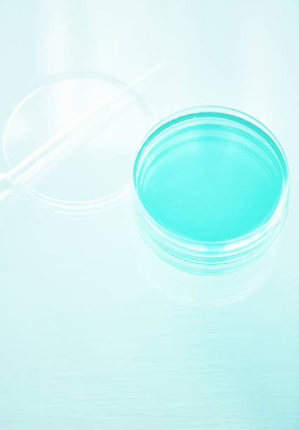 istock Stack of petri dishes with pipette 1098040588