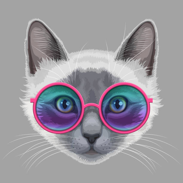 illustrations, cliparts, dessins animés et icônes de chat et lunettes - animal nose