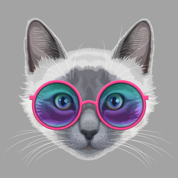 ilustrações de stock, clip art, desenhos animados e ícones de cat and eyeglasses - animal nose