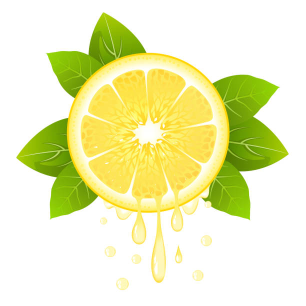 잎 및 주스의 현실적인 레몬 슬라이스 - lemon isolated clipping path white background stock illustrations