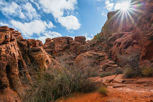 Red sandstone canyon in Nevada