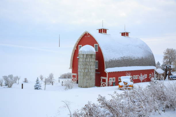 冬、ワシントン州 · ハイデンライヒ乳製品遺産納屋 - landscaped landscape winter usa ストックフォトと画像