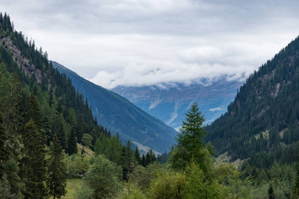 berge, bäume, ewiges eis, gipfel und see-landschaft. kaunertaler gletscher natur. wandern in den alpen, kaunertal, tirol, austria, europe - kaunertal stock-fotos und bilder