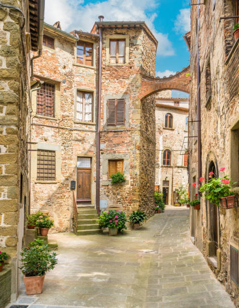 vista panoramica ad anghiari, in provincia di arezzo, toscana, italia. - arezzo foto e immagini stock