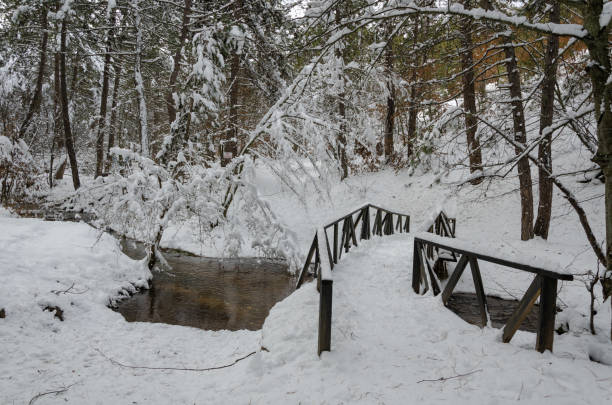 istock Wonderful winter landscape. 1098064768