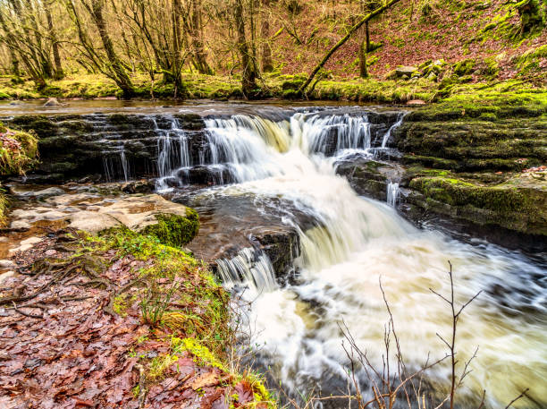 istock Fast flowing at rapids in Welsh countryside 1098065246