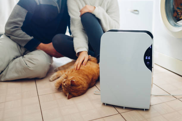 istock Dehumidifier with touch panel, humidity indicator, uv lamp, air ionizer, water container works at home. Air dryer 1098074870