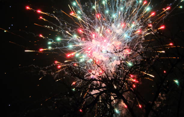 istock Fireworks behind a tree at new years eve 1098075608