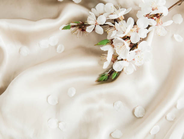 istock white blooming flowers.top view.valentines and birthday background. 1098075864