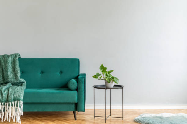 istock Minimalistic and luxury grey home interior with green velvet design sofa, black coffe table with plant and elegant blanket. Copy space for inscription, mock up poster. Brown wooden parquet. 1098076228