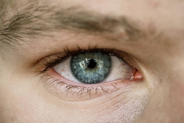 istock Macro close up image of man’s eye 1098076390