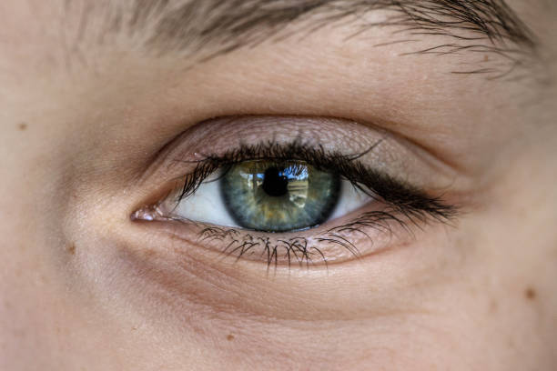 istock Macro image of a female child’s eye 1098076462