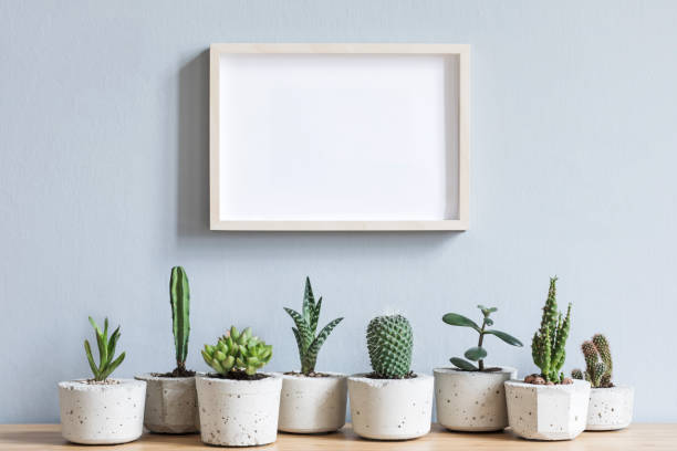 istock Minimalistic home interior with mock up photo frame on the brown wooden table with composition of cacti and succulents in stylish cement pots. Grey walls. Stylish concept of home garden. 1098079320