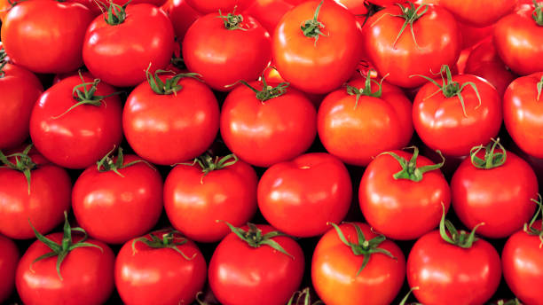 istock Pile of tomatoes for sale 1098080094