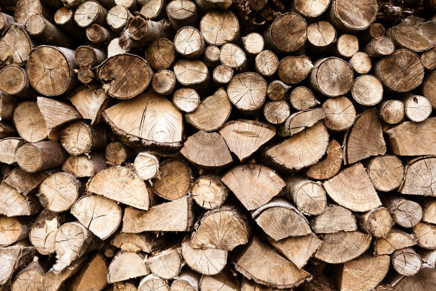 istock Firewood woodpile 1098081840