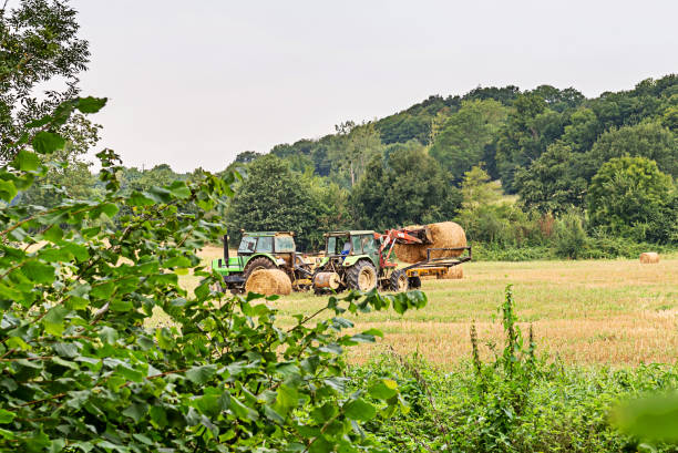 istock Tractor removes hay from the field 1098088800
