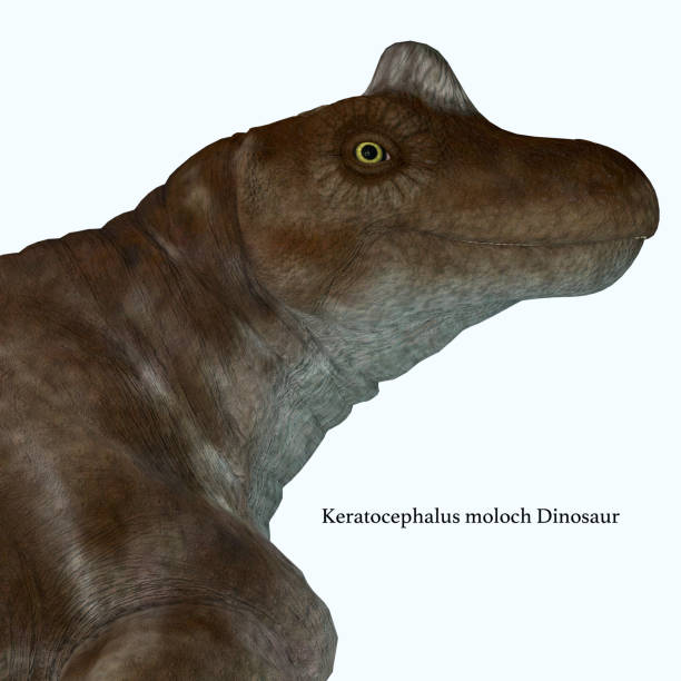 istock Keratocephalus Dinosaur Head with Font 1098098840