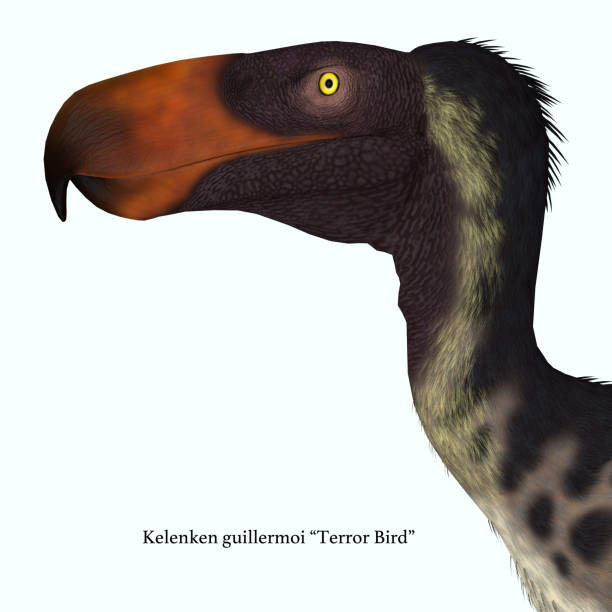 istock Kelenken Bird Head with Font 1098098954