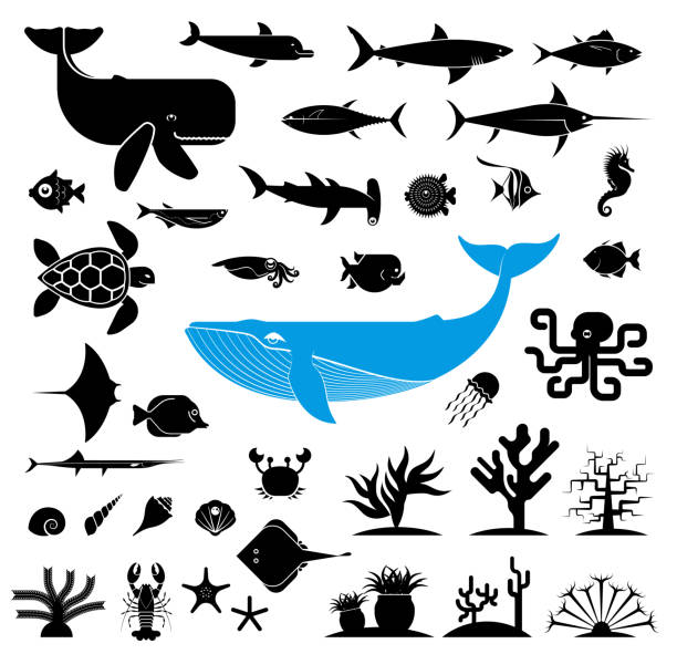 기하학적 양식된 바다 동물 아이콘의 대형 컬렉션입니다. - aquarium biology jellyfish nature stock illustrations