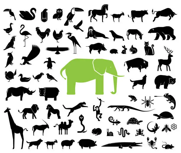 Vector illustration of Large collection of geometrically stylized land animal icons.