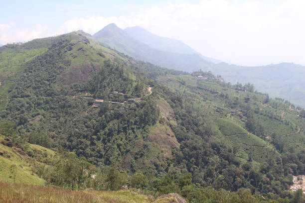 istock Beautiful mountainous landscape in Munnar in India 1098101868