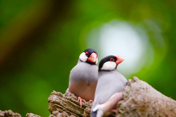 istock I love you. Why do you ignore me. 1098104624