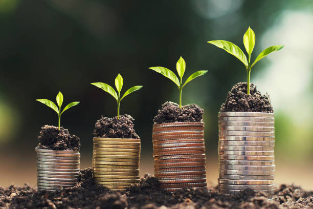 istock plant growing step on money stack. concept finance and accounting 1098106276