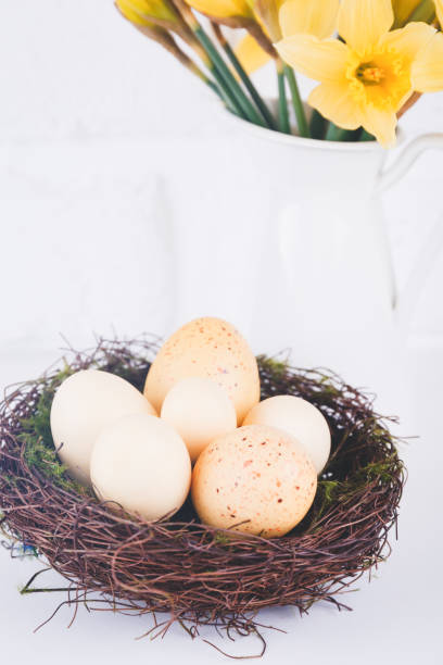 istock Jar with narcissuses and eggs at the white brick background. Spring and Easter concept 1098107210