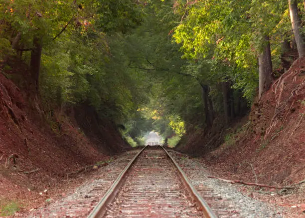 South Carolina railroad tracks at sunset.