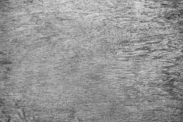 istock Abstract rustic surface white wood table texture background. Close up of rustic wall made of white wood table planks texture. Rustic white wood table texture background empty template for your design. 1098123992