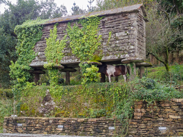 istock Pony under a dry-stone granary - Logoso 1098126152