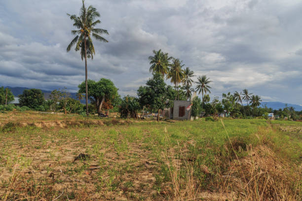 istock the severe damage from earthquake and liquefaction natural disasters 1098131040