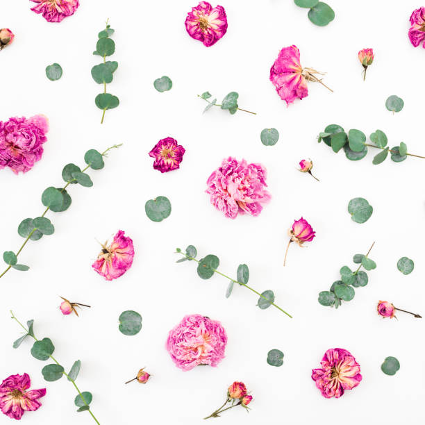 istock Floral pattern of dried pink flowers and eucalyptus branches on white background. Flat lay, top view. Valentines day background 1098131106