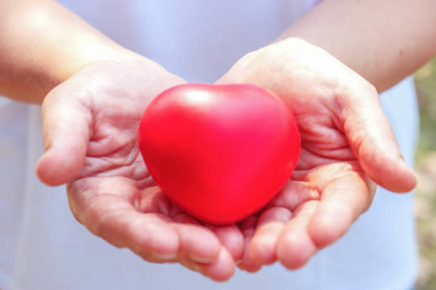 istock close up of heart model on hands 1098142172