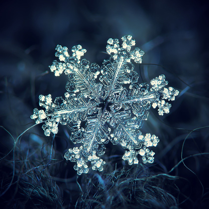 Snowflake glowing on dark textured background. Macro photo of real snow crystal: large stellar dendrite with glossy relief surface, thin, complex arms and tiny bubbles of frozen rime across crystal.