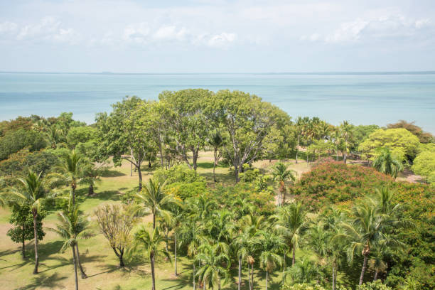 istock Timor Sea and Lush Greenery 1098152102