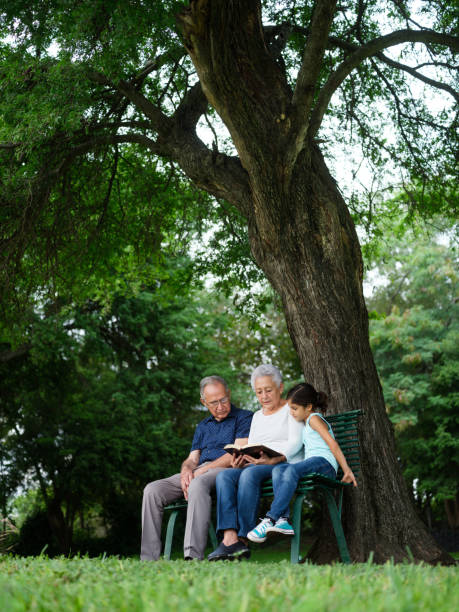 nonni che leggono nel parco con la nipote - small group of people group of people talking bible foto e immagini stock