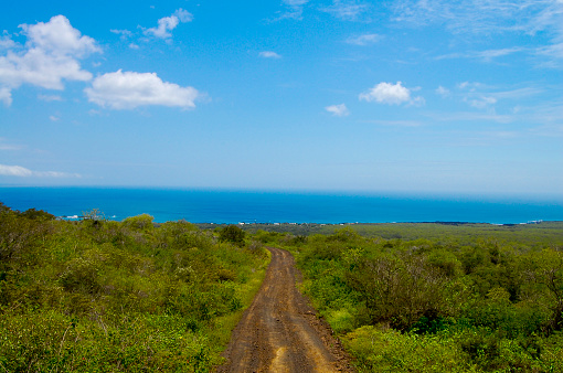 Dirt Road on Floreana Island - Galapagos