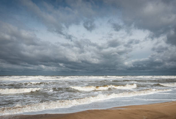Stormy foamy sea, big waves